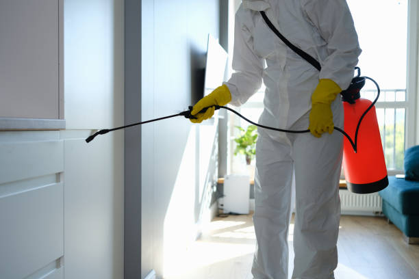 Best Professional Mold Removal  in Maryland City, MD